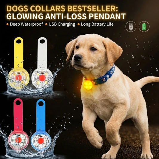 Collar LED para Perro, Recargable por USB