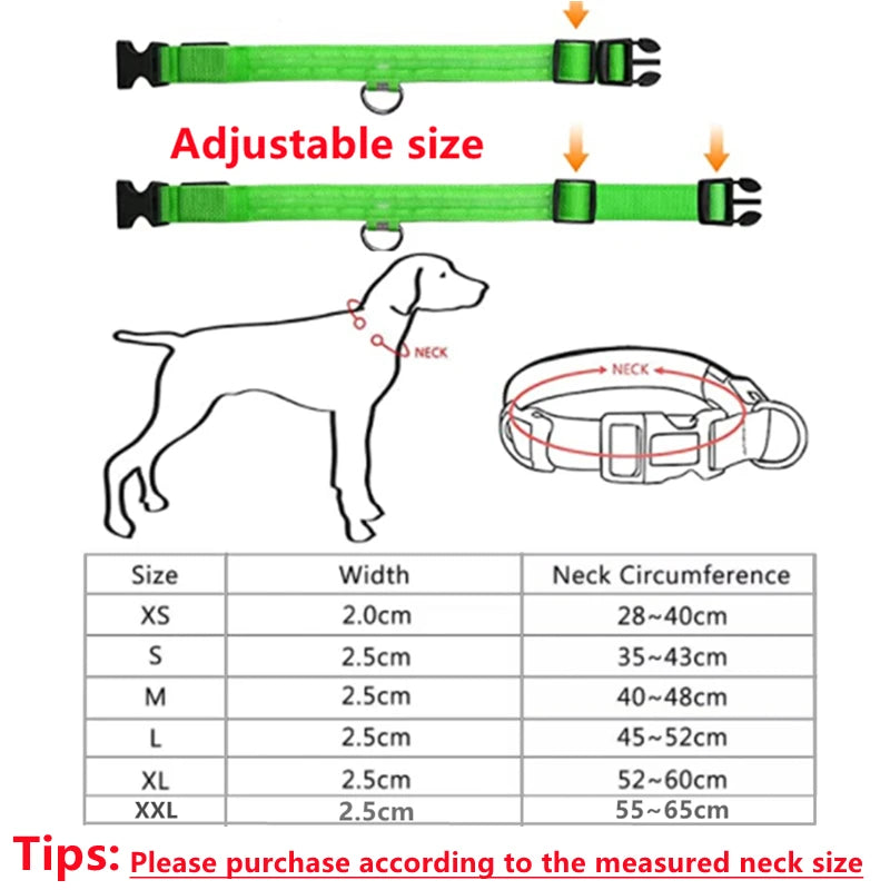 Collar Luminoso Recargable por USB, Collar Ajustable con Luz LED