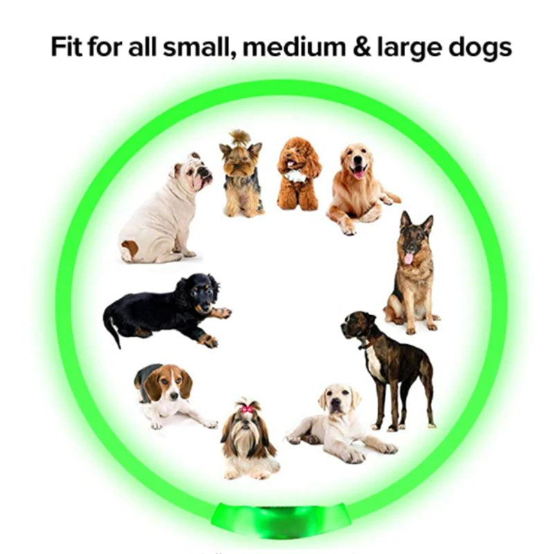 Collar Luminoso Recargable por USB, Collar Ajustable con Luz LED
