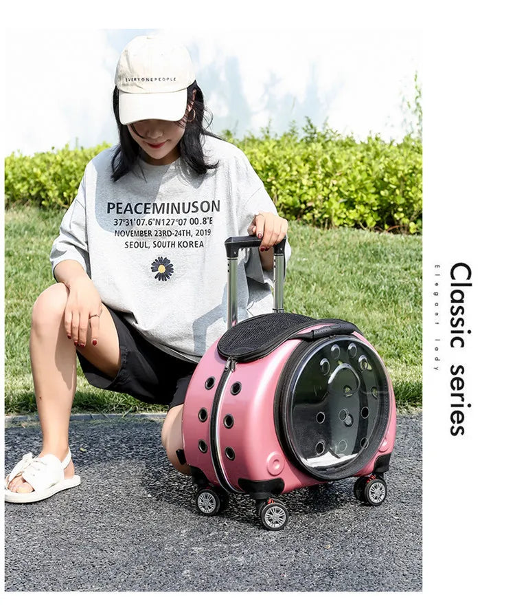 Bolsa transparente para gatos, transportador multiusos de doble hombro para gatos