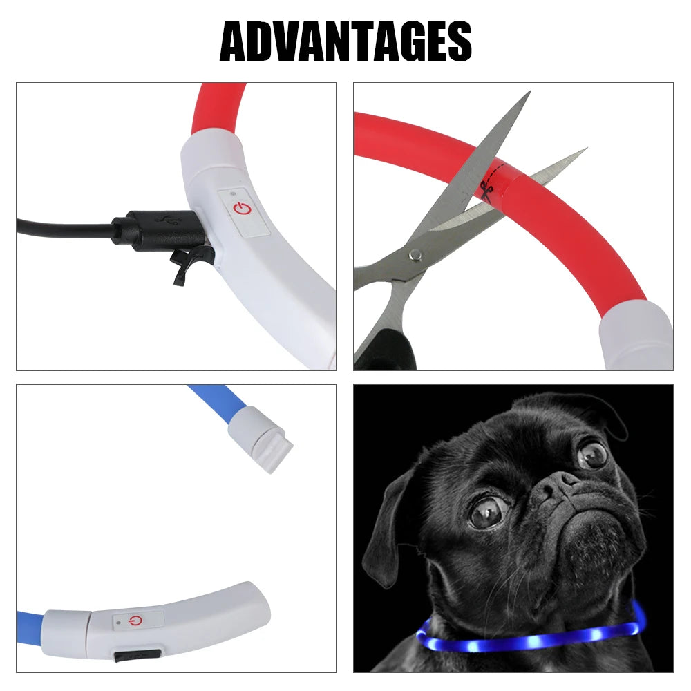 Collar Led Usb para perro, Collar de carga luminosa nocturna