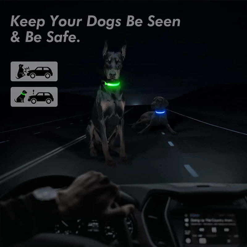 Collar Luminoso Recargable por USB, Collar Ajustable con Luz LED