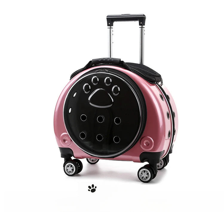 Bolsa transparente para gatos, transportador multiusos de doble hombro para gatos