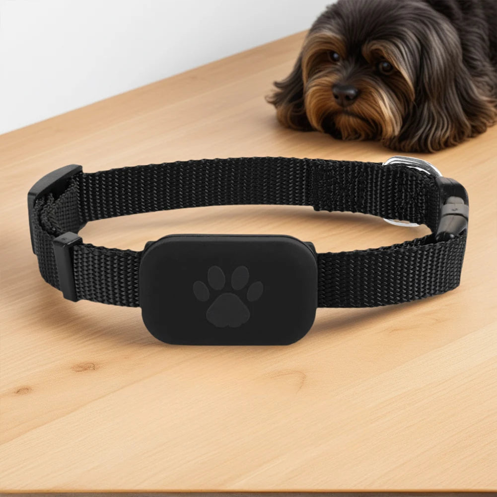Rastreador GPS para Mascotas con Collar Ajustable