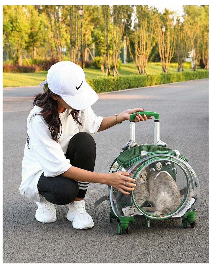 Bolsa transparente para gatos, transportador multiusos de doble hombro para gatos